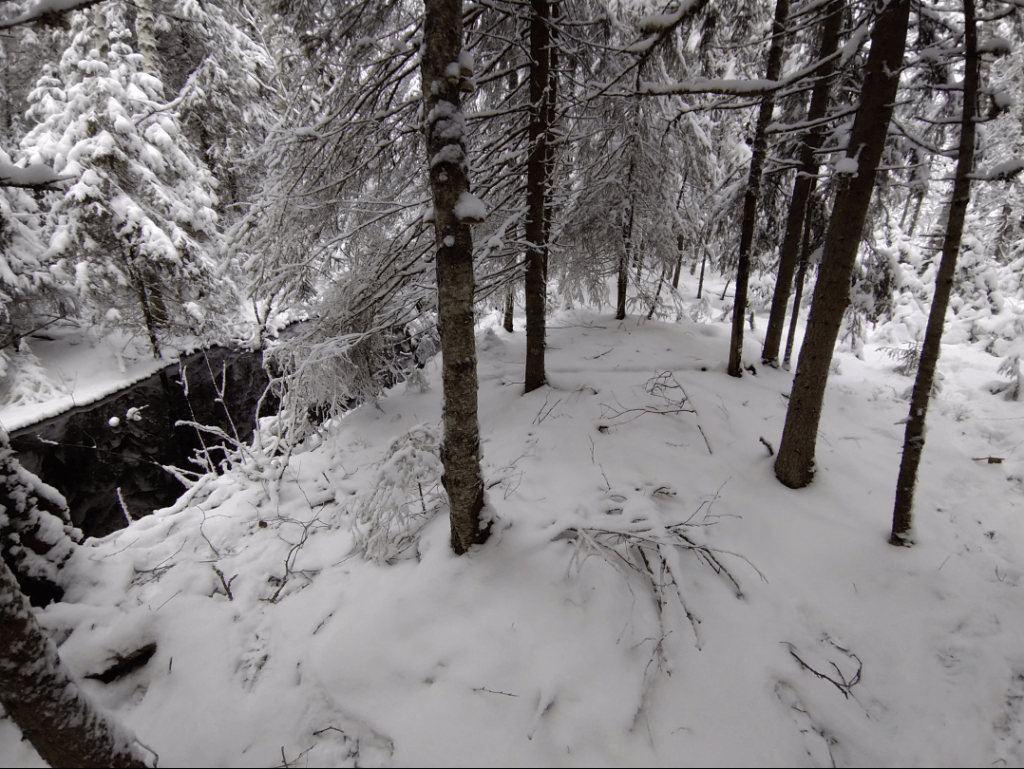 Winter scenery with a running river.